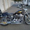 eagle sissy bar bag